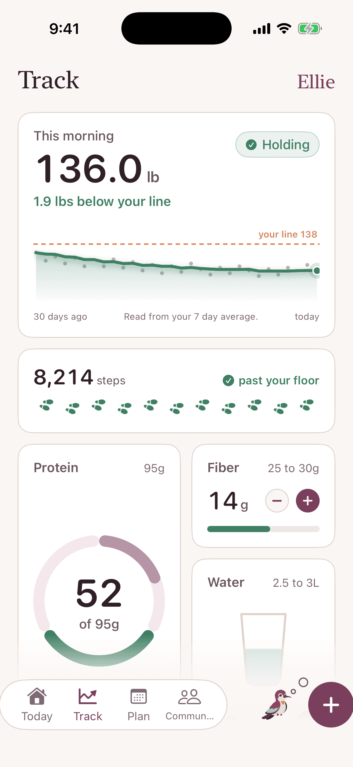 Track: weight trend, steps, protein, fiber, and water in one place